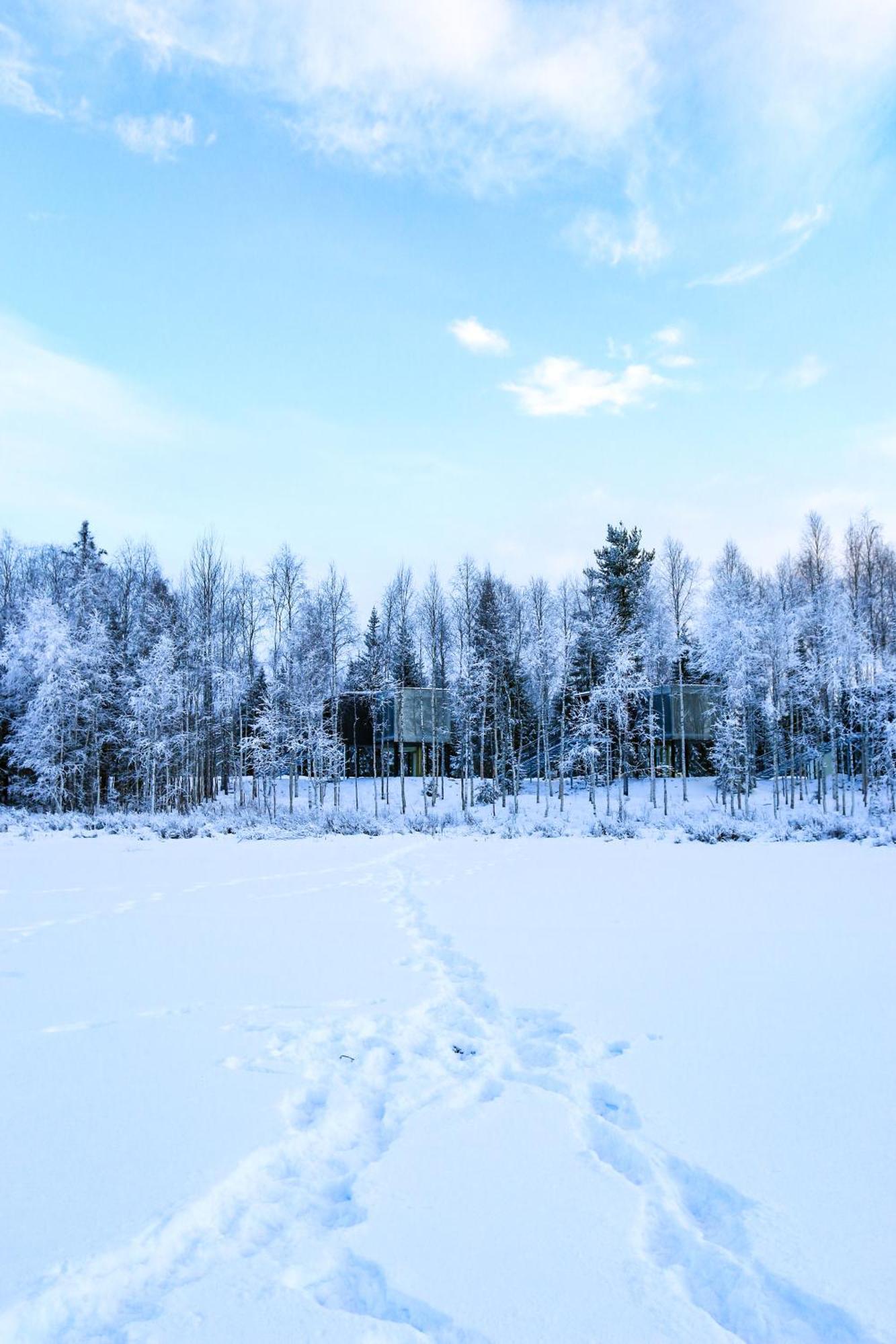 Silver Birch Resort Lapland Rovaniemi Exterior foto