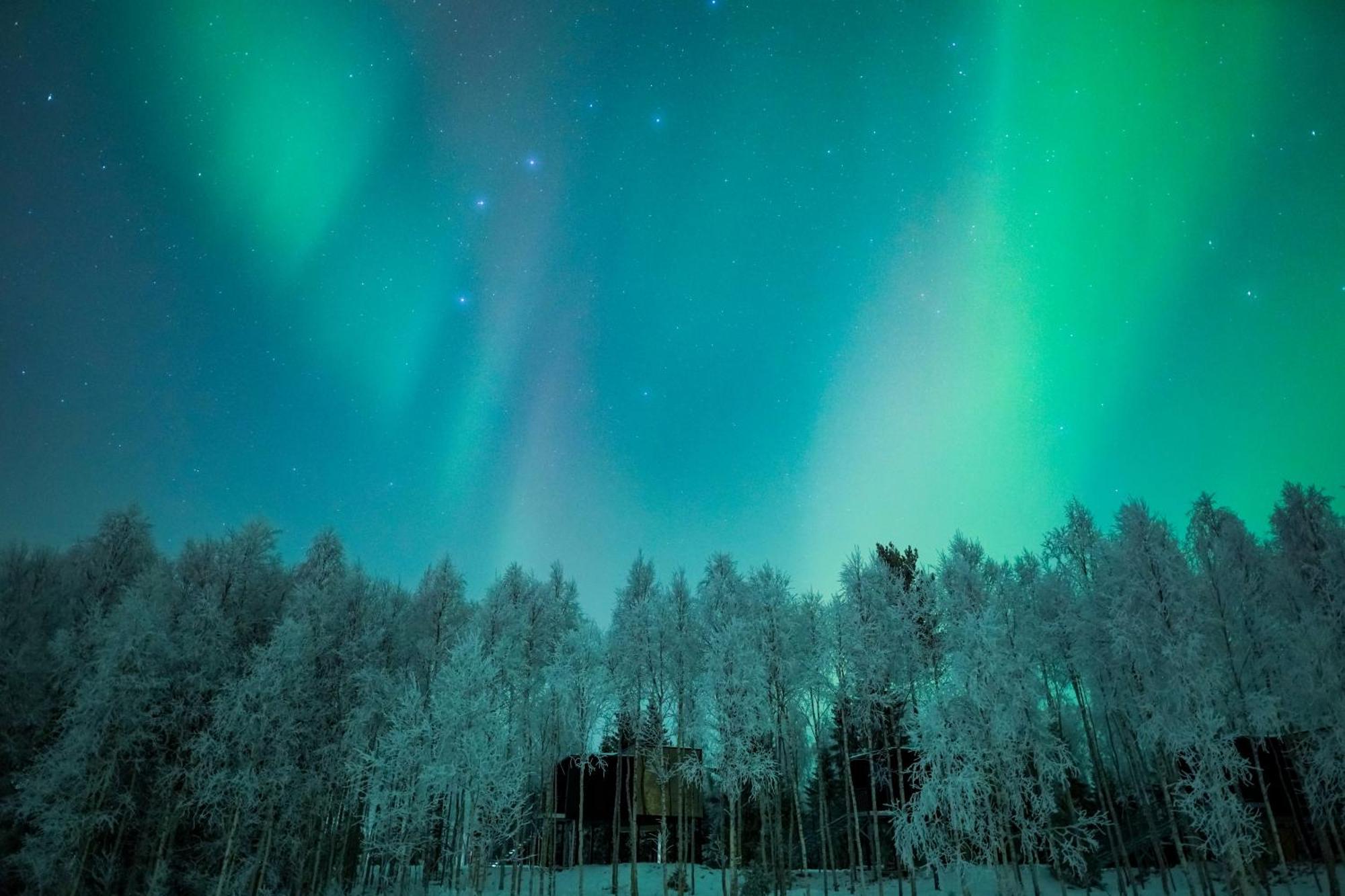Silver Birch Resort Lapland Rovaniemi Exterior foto